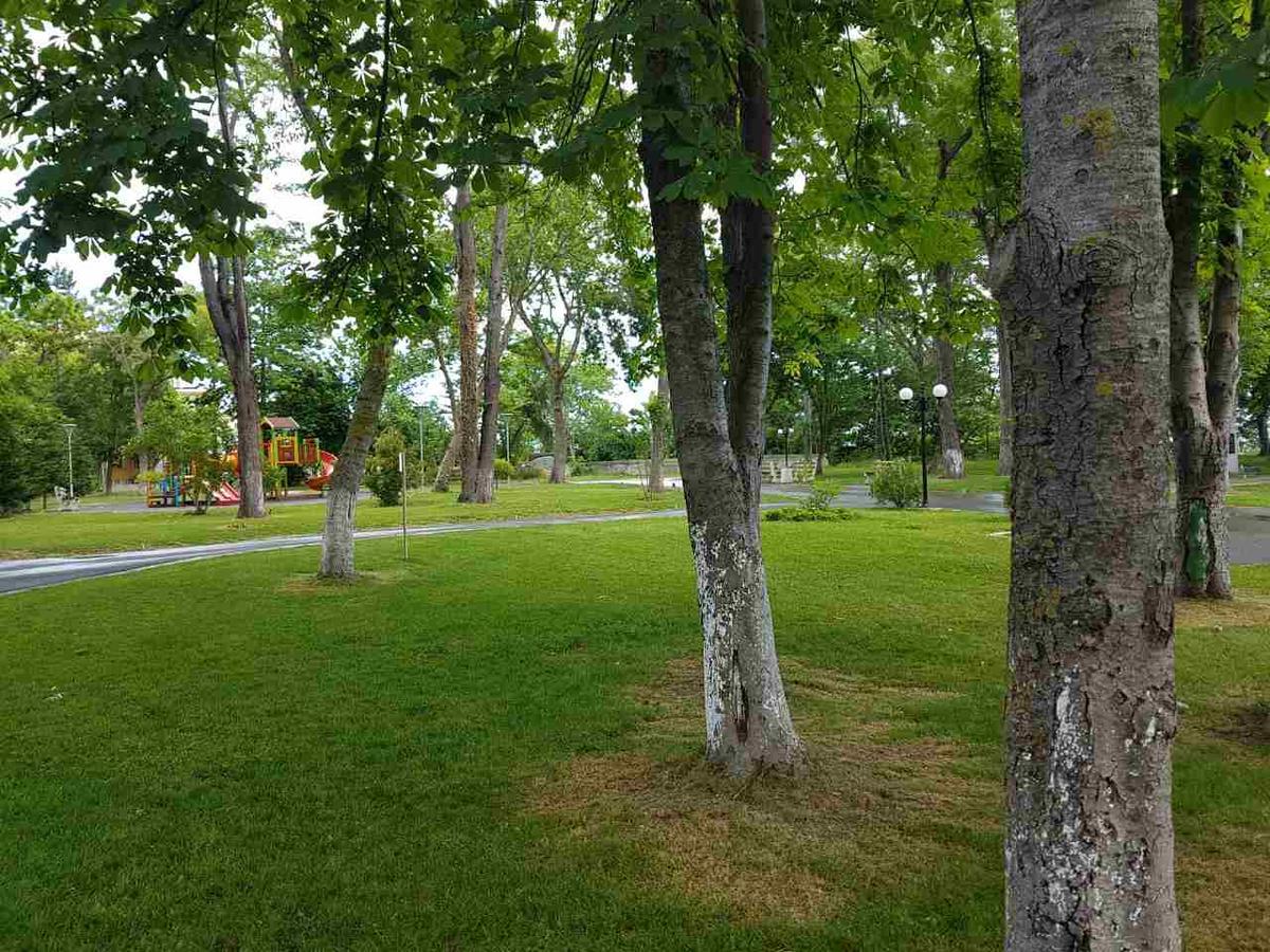 Villa Salena Primorsko Luaran gambar